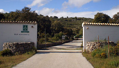 Instalaciones del Camping Conejeras