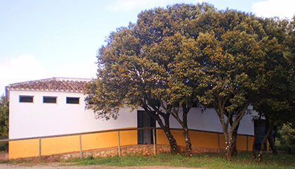 Instalaciones del Camping Conejeras